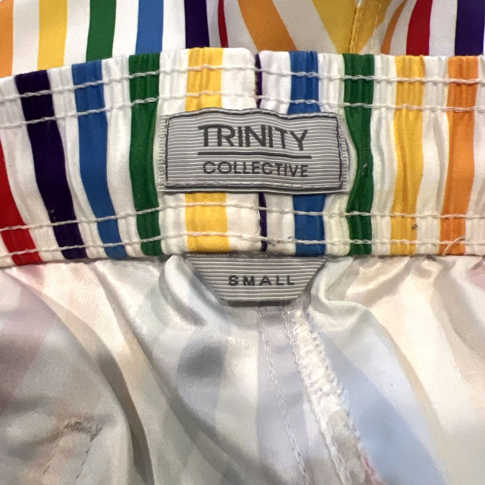 Vintage VINTAGE Trinity Collective Men's Small Shorts Unlined Swim Trunks Striped Rainbow Pride Size US 29 - 5 Thumbnail