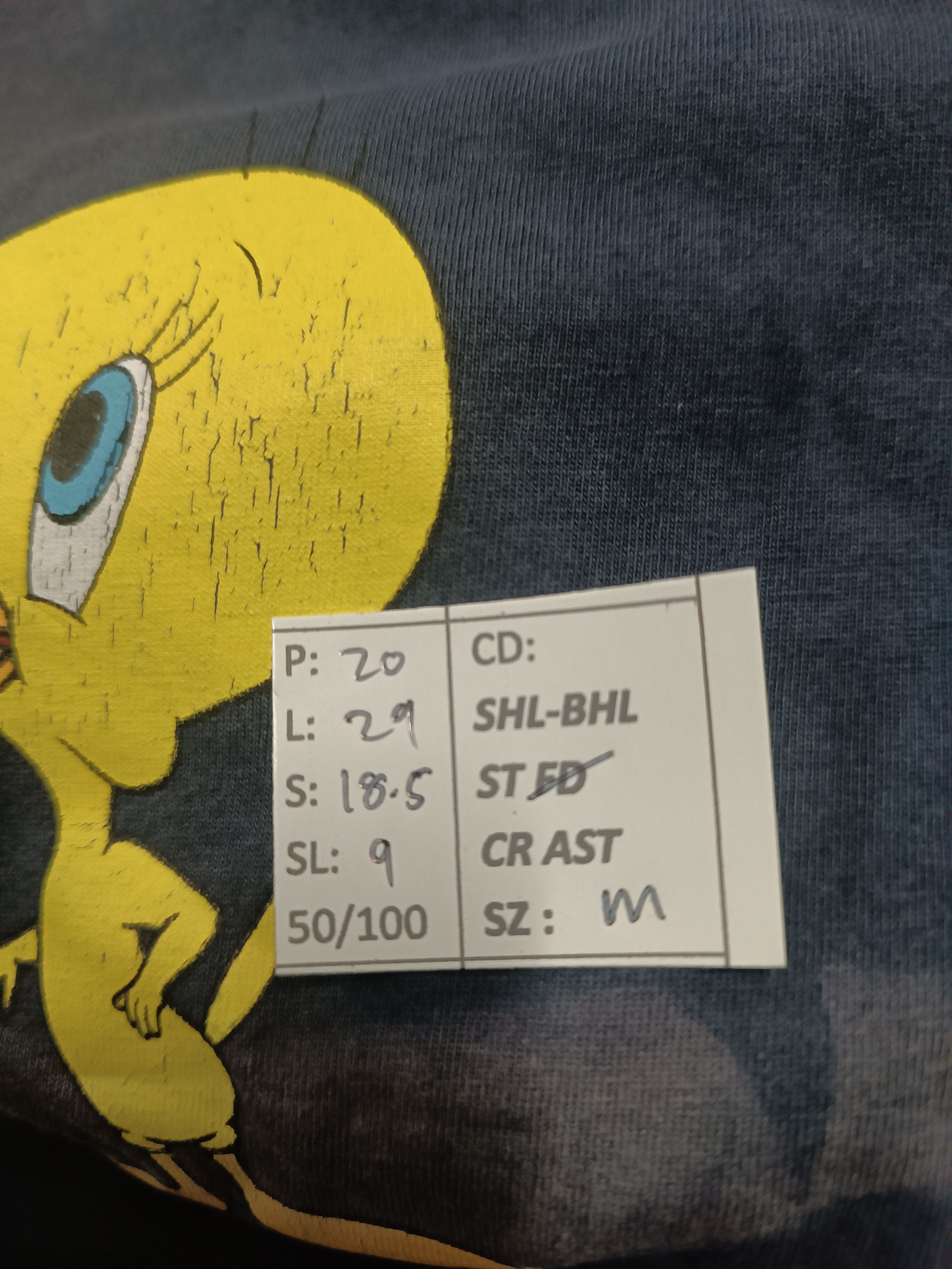 Vintage THRASHED FADED VINTAGE 2000s TWEETY & SYLVESTER LOONEY Y2K Size US M / EU 48-50 / 2 - 17 Thumbnail