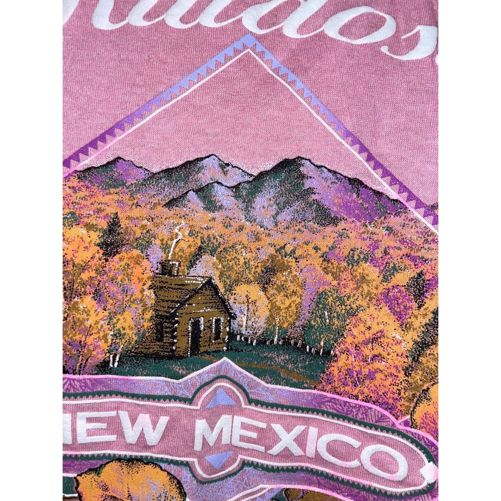 Jerzees Vintage Ruidoso New Mexico Shirt Fall Leaves Tree Tee VTG L Size US L / EU 52-54 / 3 - 3 Thumbnail