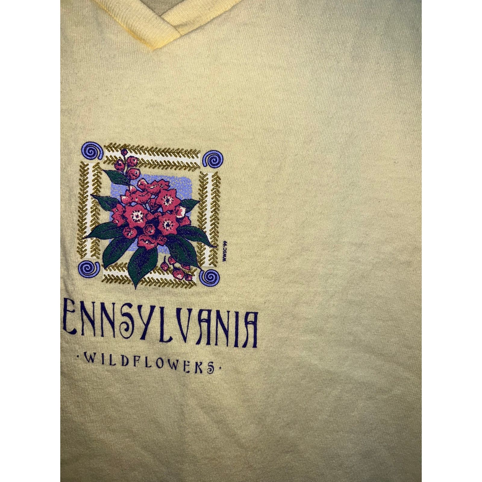 Anvil Women's Vintage Pennsylvania Shirt Top Tee Stained Stain L Size L / US 10 / IT 46 - 3 Thumbnail