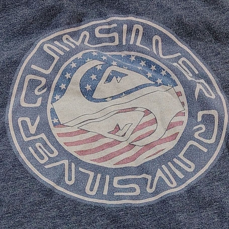 Quiksilver Men's Dark Grey Large Y2K Quiksilver Graphic T-Shirt Size US L / EU 52-54 / 3 - 3 Thumbnail
