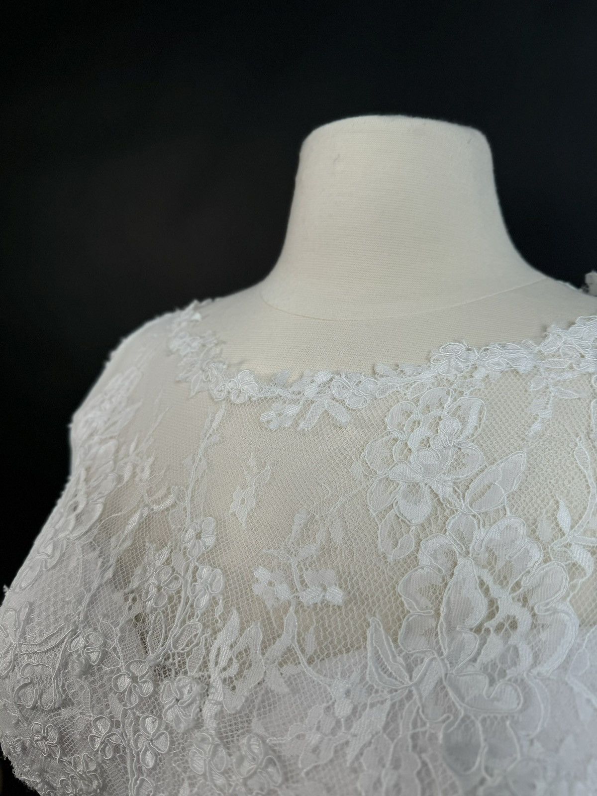 Other Preloved US 8-10 Anna Augusta French Corded Lace Bridal Gown Size L / US 10 / IT 46 - 5 Thumbnail