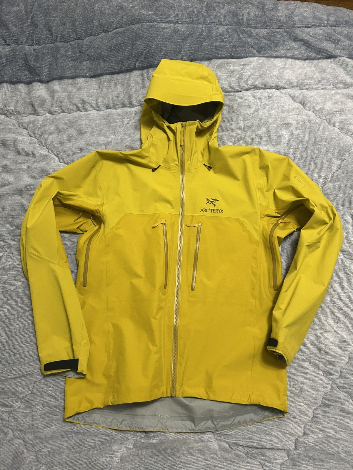Arc'teryx Arc'teryx Alpha AR Jacket Size US L / EU 52-54 / 3 - 1 Thumbnail