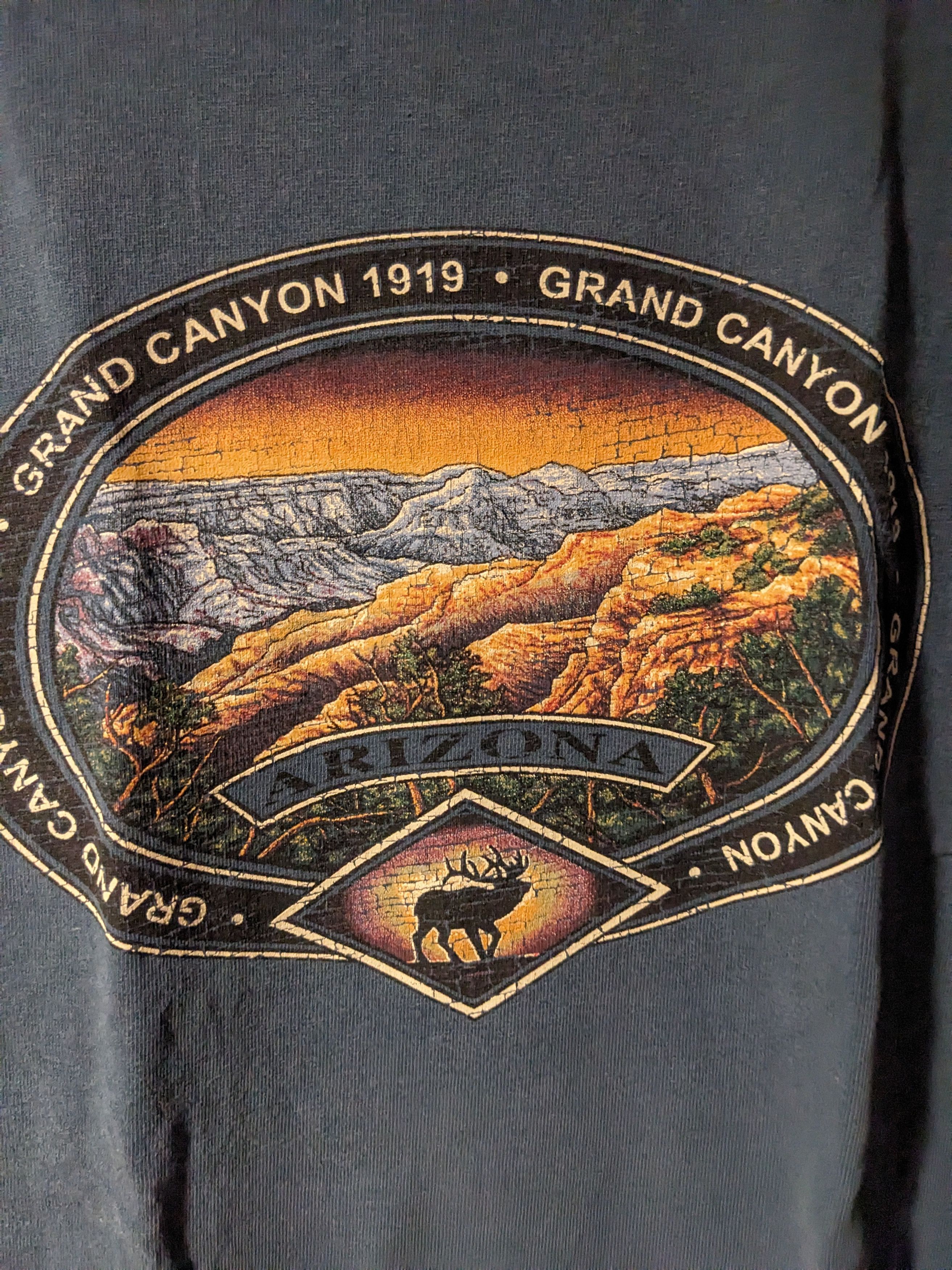 Vintage Vintage Y2K Arizona Grand Canyon Moose Elk Animal T-Shirt Size US S / EU 44-46 / 1 - 2 Thumbnail