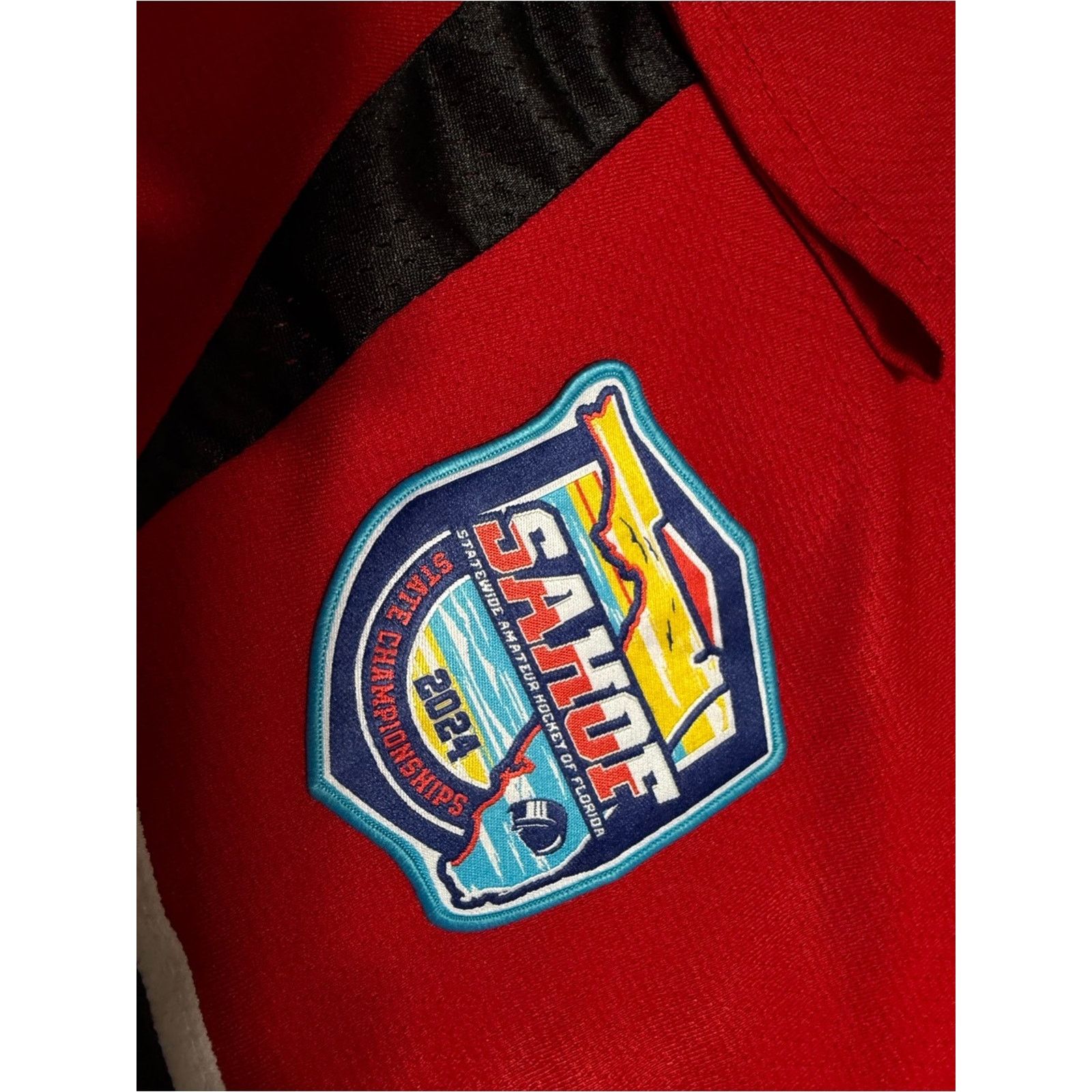 Other Palm Beach Hawks Authentic Minor Hockey Jersey Mens RARE Size US S / EU 44-46 / 1 - 3 Thumbnail
