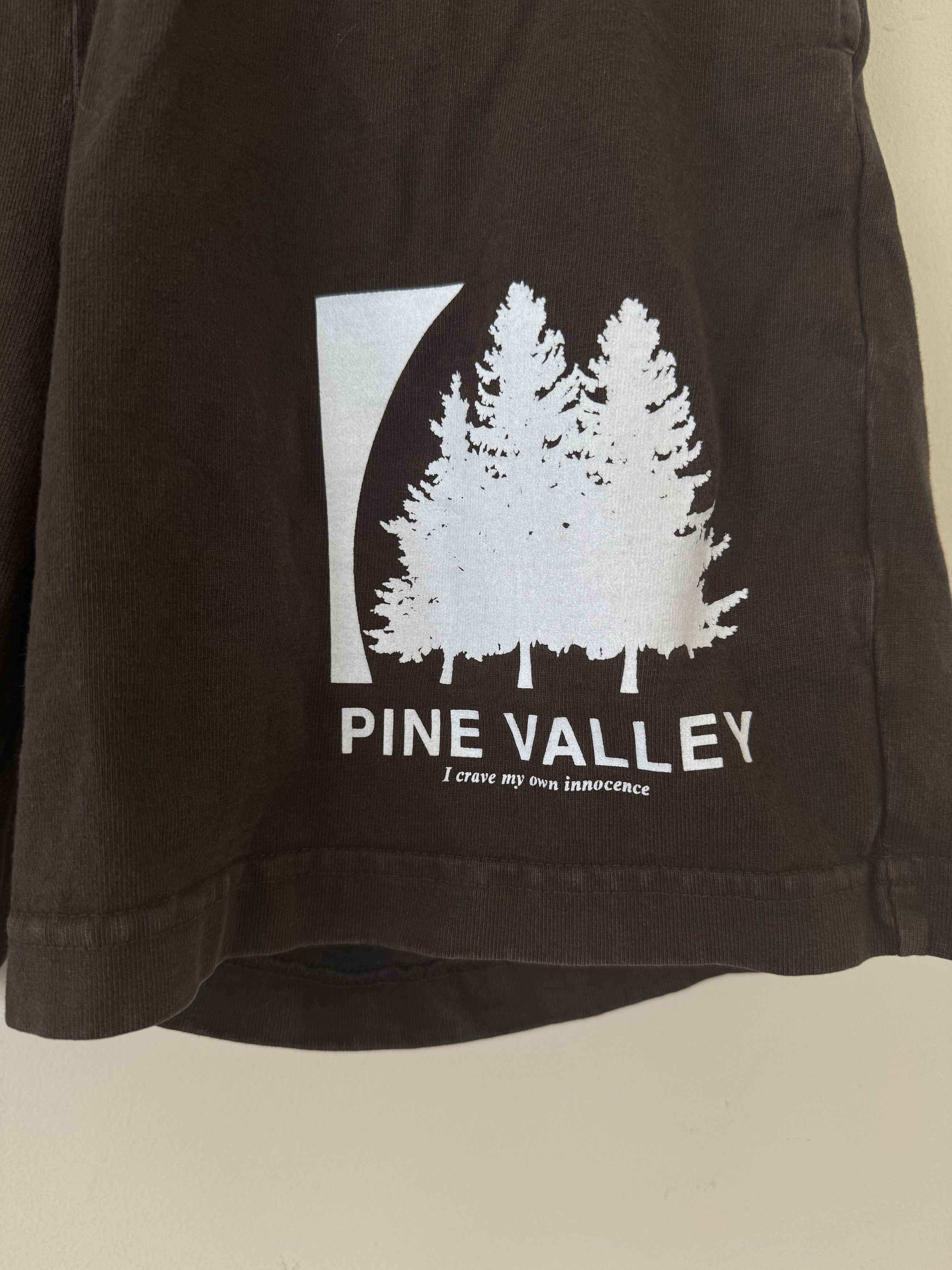 basketcase gallery Basketcase Pine Valley Shorts Size US 30 / EU 46 - 3 Thumbnail