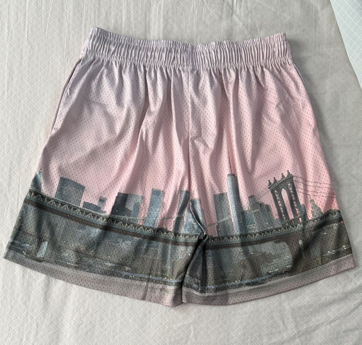 Eric Emanuel Eric Emanuel EE Basic NYC Skyline Shorts Pink Size(L) Size US 34 / EU 50 - 2 Thumbnail
