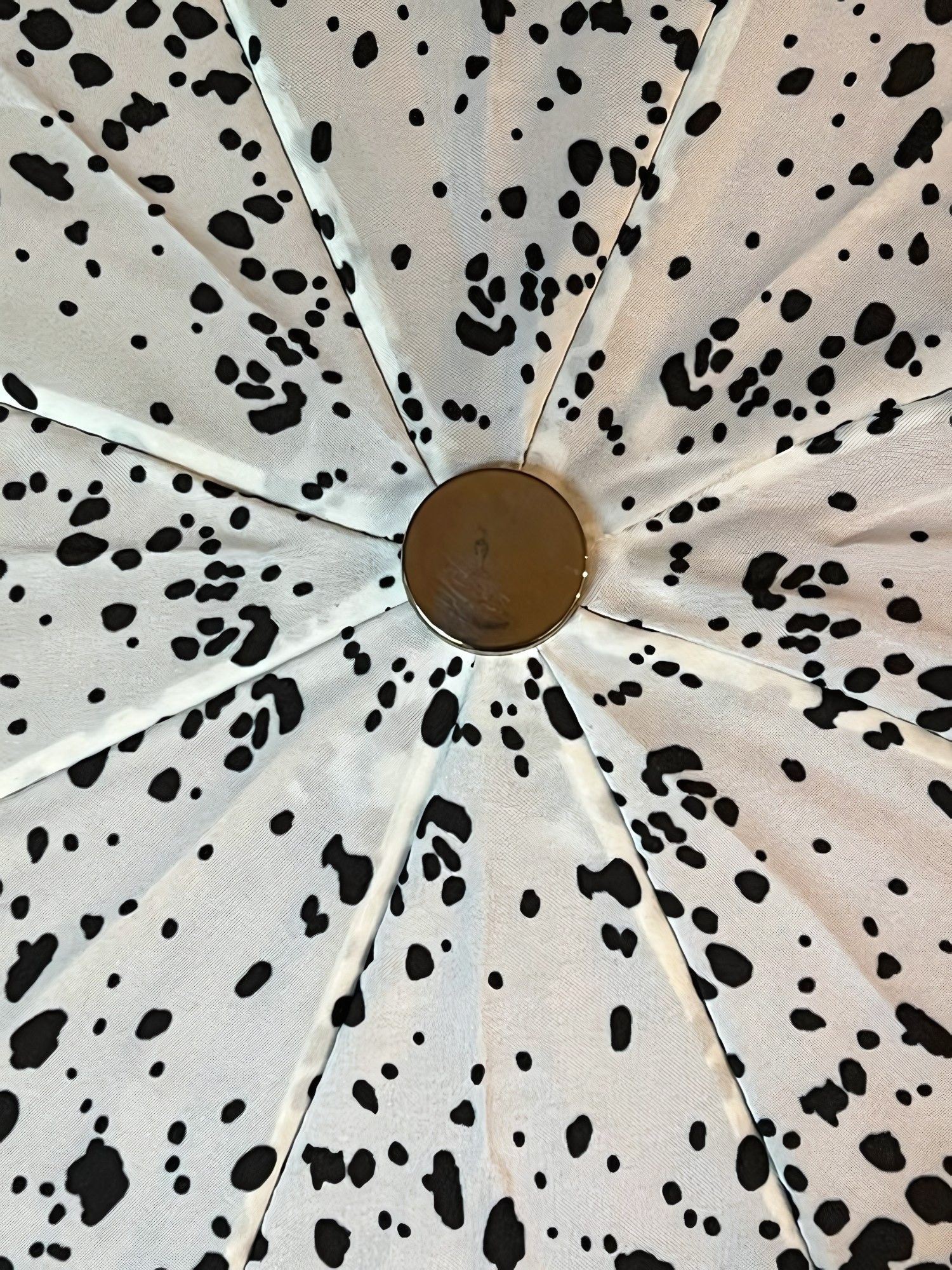 Burberry × Burberry Prorsum BURBERRY PRORSUM PRINTED UMBRELLA Size ONE SIZE - 7 Thumbnail
