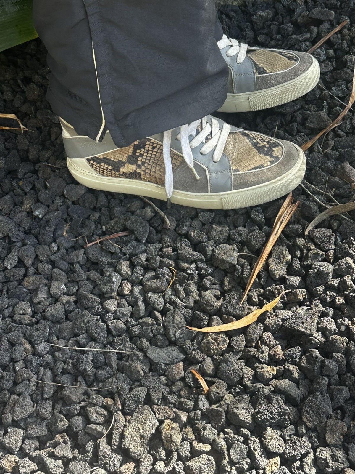 Zadig & Voltaire Snakeskin Hi-Tops Size US 8 / EU 41 - 4 Thumbnail