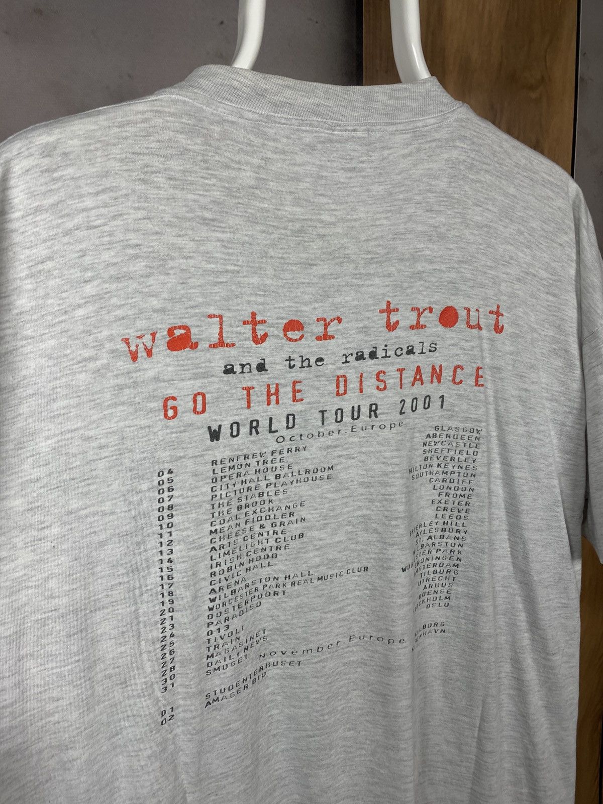 Band Tees 🎸Vintage Walter Trout 2001 The Radicals Go The Distance Tee🎸 Size US L / EU 52-54 / 3 - 4 Thumbnail