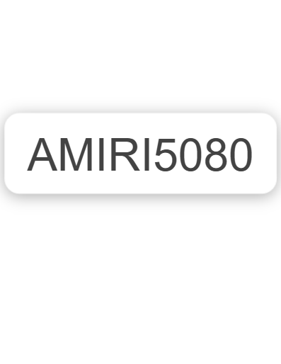 Amiri o1rshd1 Q:79+ / Pegasus Trucker Hat / Cap in Black Size ONE SIZE - 20 Thumbnail