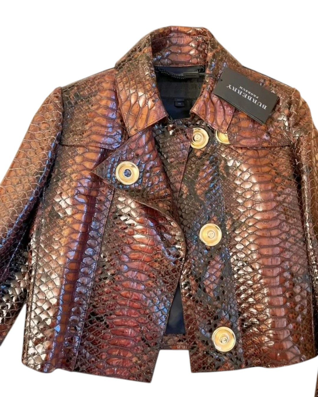 Burberry Prorsum F/W 2013 RUNWAY PYTHON EMBOSSED GOATSKIN LEATHER JACKET Size XS / US 0-2 / IT 36-38 - 5 Thumbnail