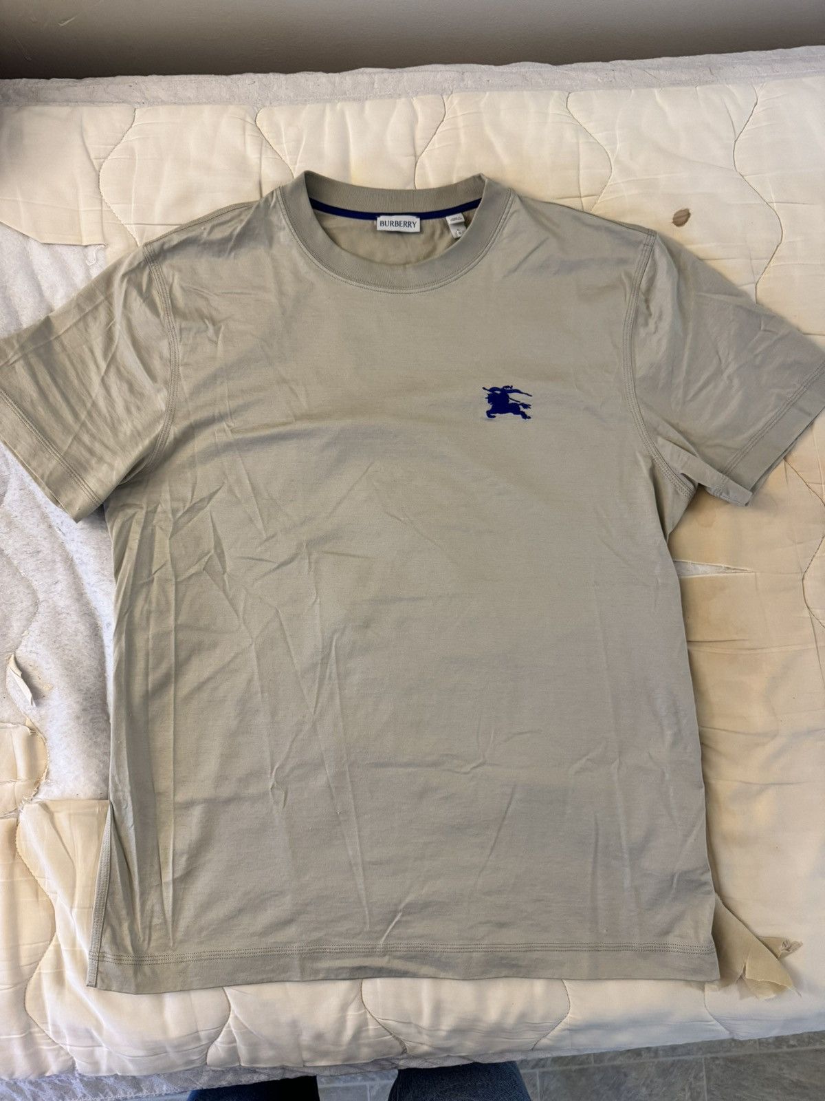 Tシャツ・カットソー BURBERRY Men T Shirts 8072008 TEMPAHB3590 Blue Burberry BURBERRY Men T-Shirts 8072008 TEMPAHB3590 Blue