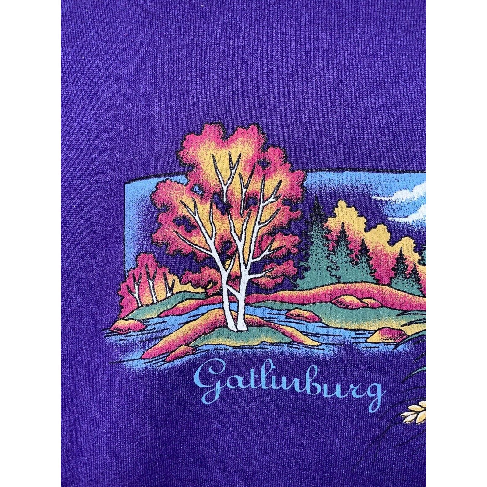 Jerzees Vintage Gatlinburg Crewneck Fall Autumn Leaves Trees VTG 90s Size US L / EU 52-54 / 3 - 2 Thumbnail