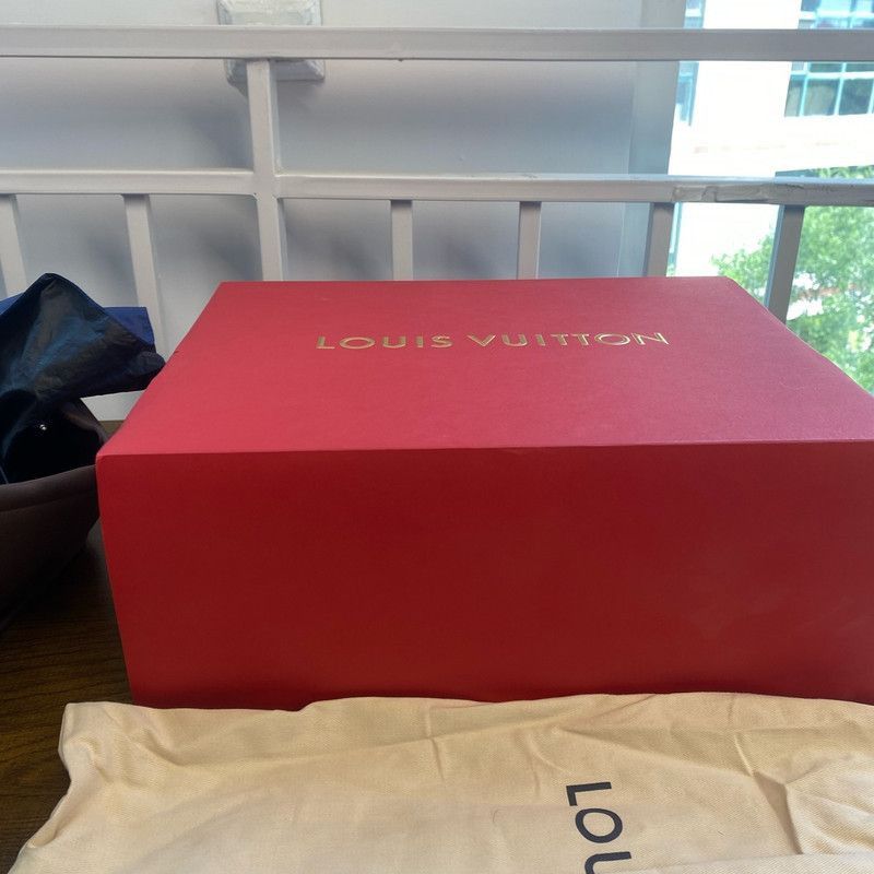 Louis Vuitton Louis Vuitton Low-Top Sneakers in Black and Gray -2508 Size US 9 / EU 42 - 2 Thumbnail