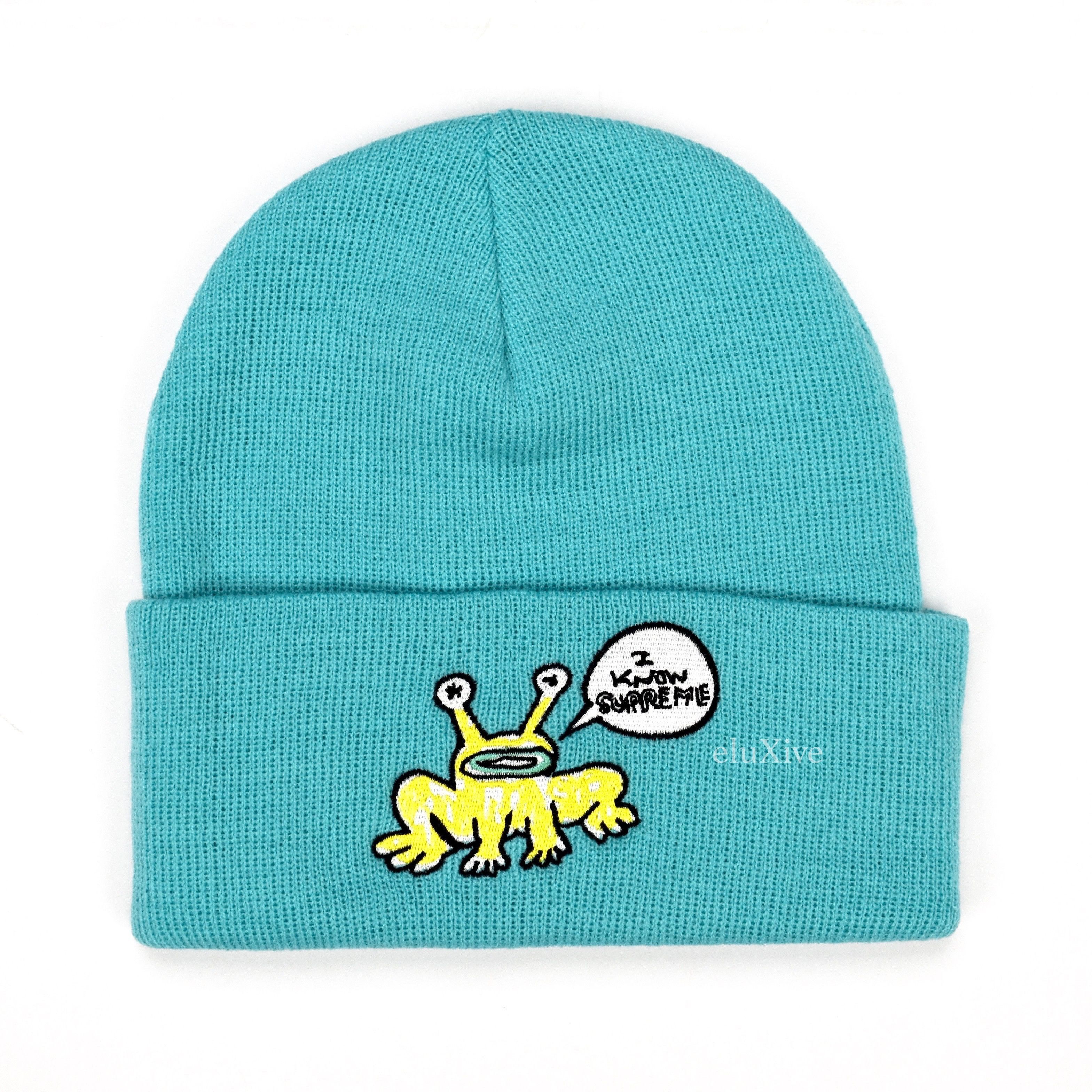 Supreme Supreme Daniel Johnston Frog Beanie SS20 Teal DS Size ONE SIZE - 1 Preview