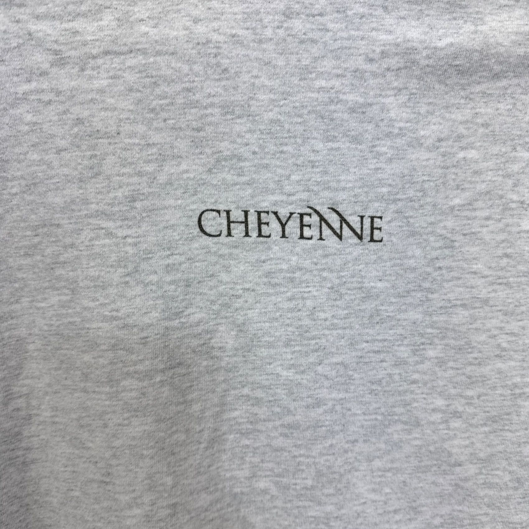 Fruit Of The Loom VINTAGE Cheyenne Software Company T Shirt XL Men Gray 90s Technology Computers Lan Network Fruit of the Loom Shirt Size US XL / EU 56 / 4 - 7 Thumbnail