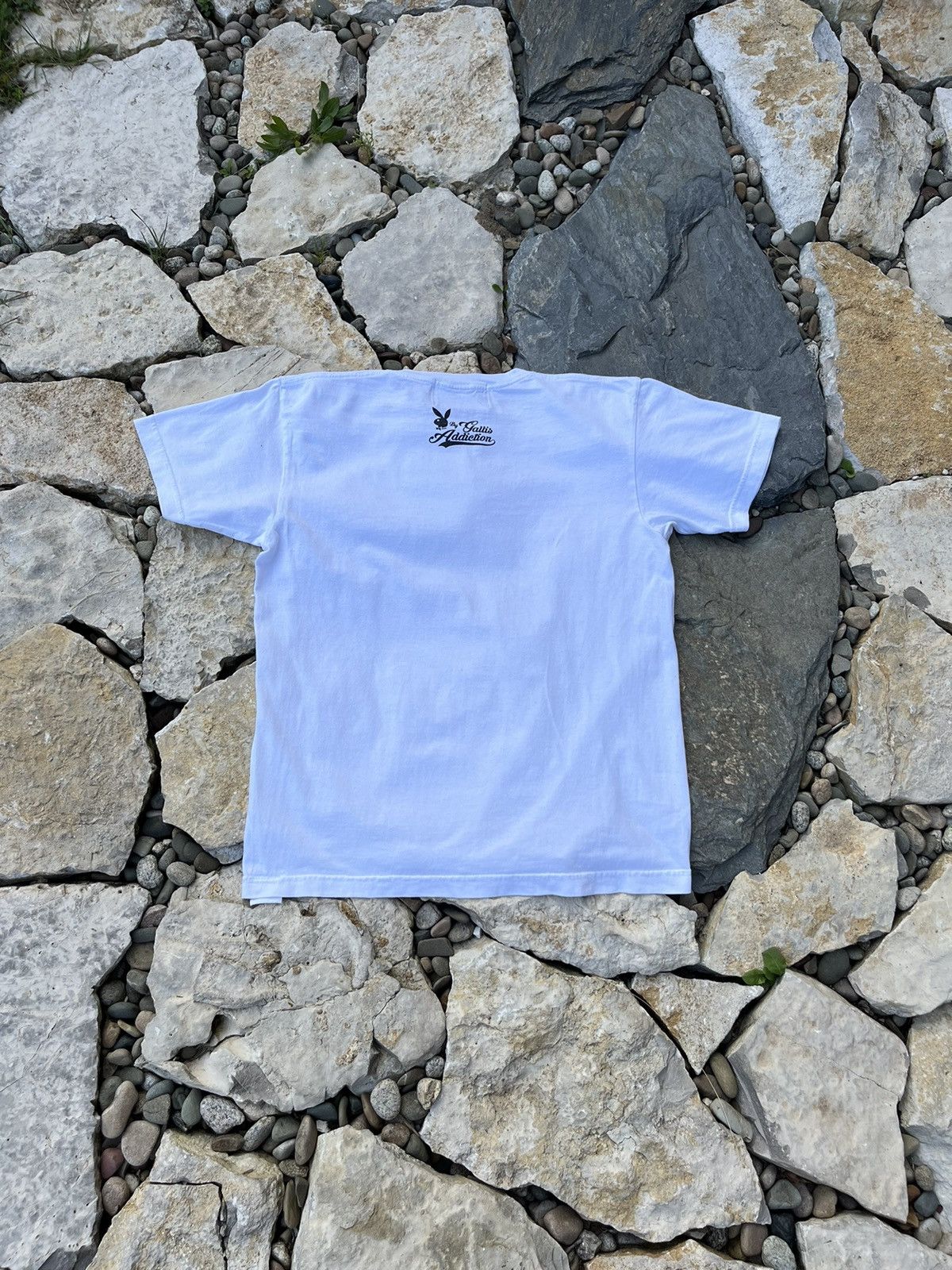Playboy x Gallis Addiction sexy girls instagram post tee
