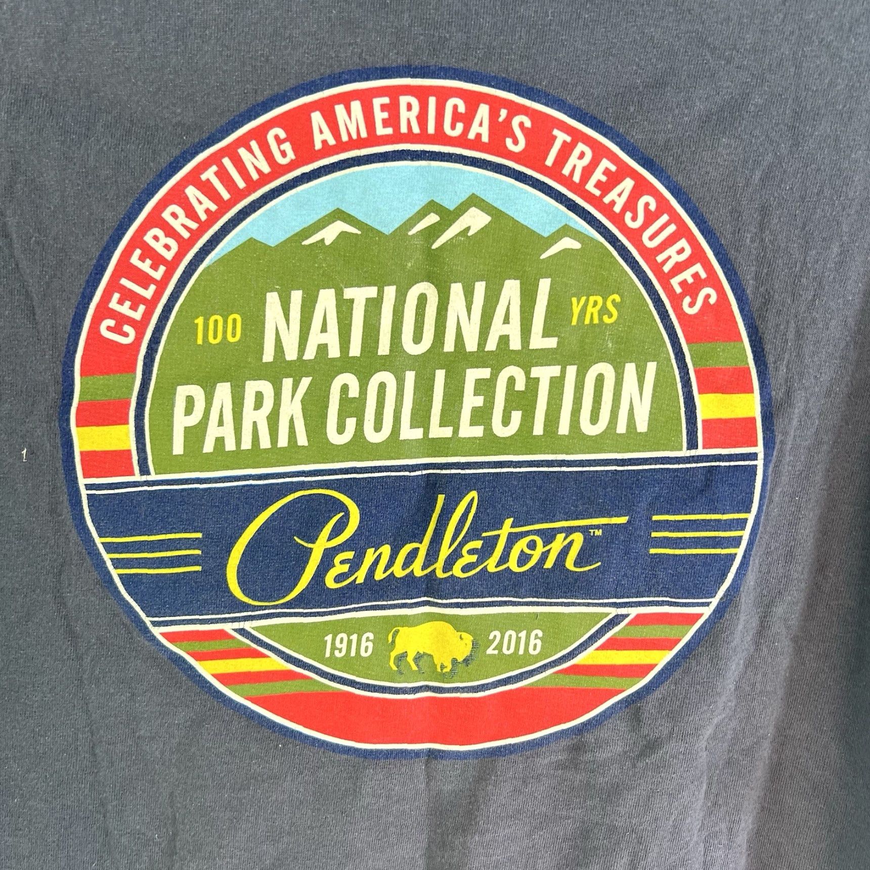 Pendleton Pendleton T-Shirt Gray Adult M National Parks 100 Years Logo Graphic Print Cotton Crew Neck Short Sleeve USA Nature Outdoor Men Size US M / EU 48-50 / 2 - 5 Thumbnail