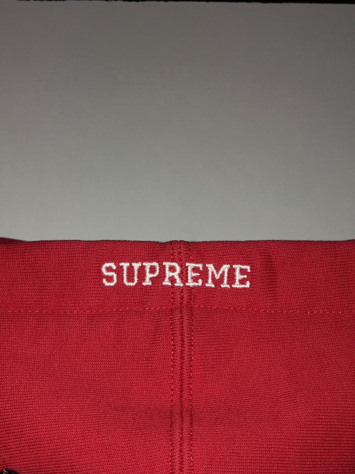 Supreme hoodie SUPREME x DEAD PREZ RBG Embroidered y2k vintage Size US M / EU 48-50 / 2 - 9 Thumbnail