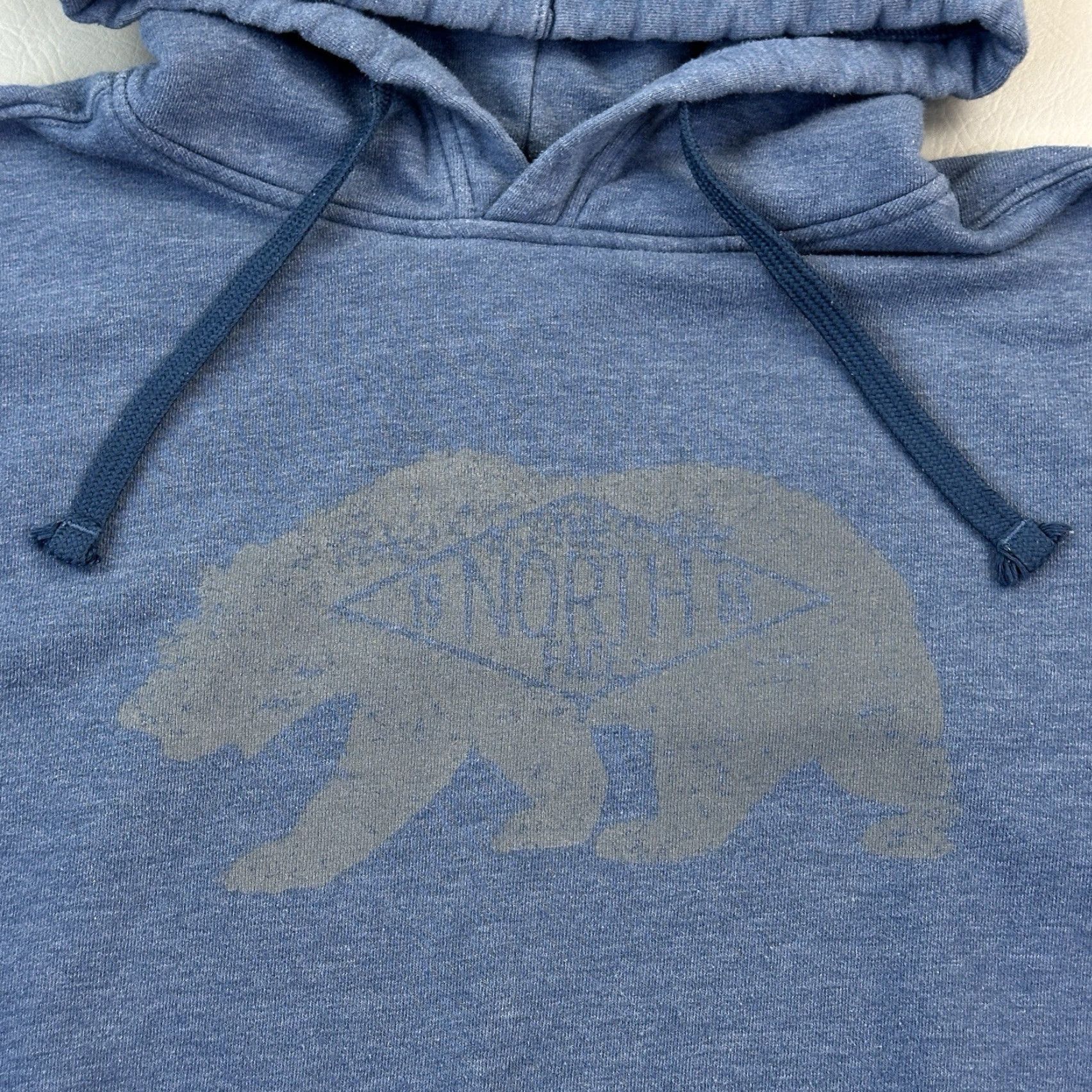 The North Face The North Face Hoodie Mens Medium Blue Fleece Bear Graphic Pullover Hiking Size US M / EU 48-50 / 2 - 4 Thumbnail