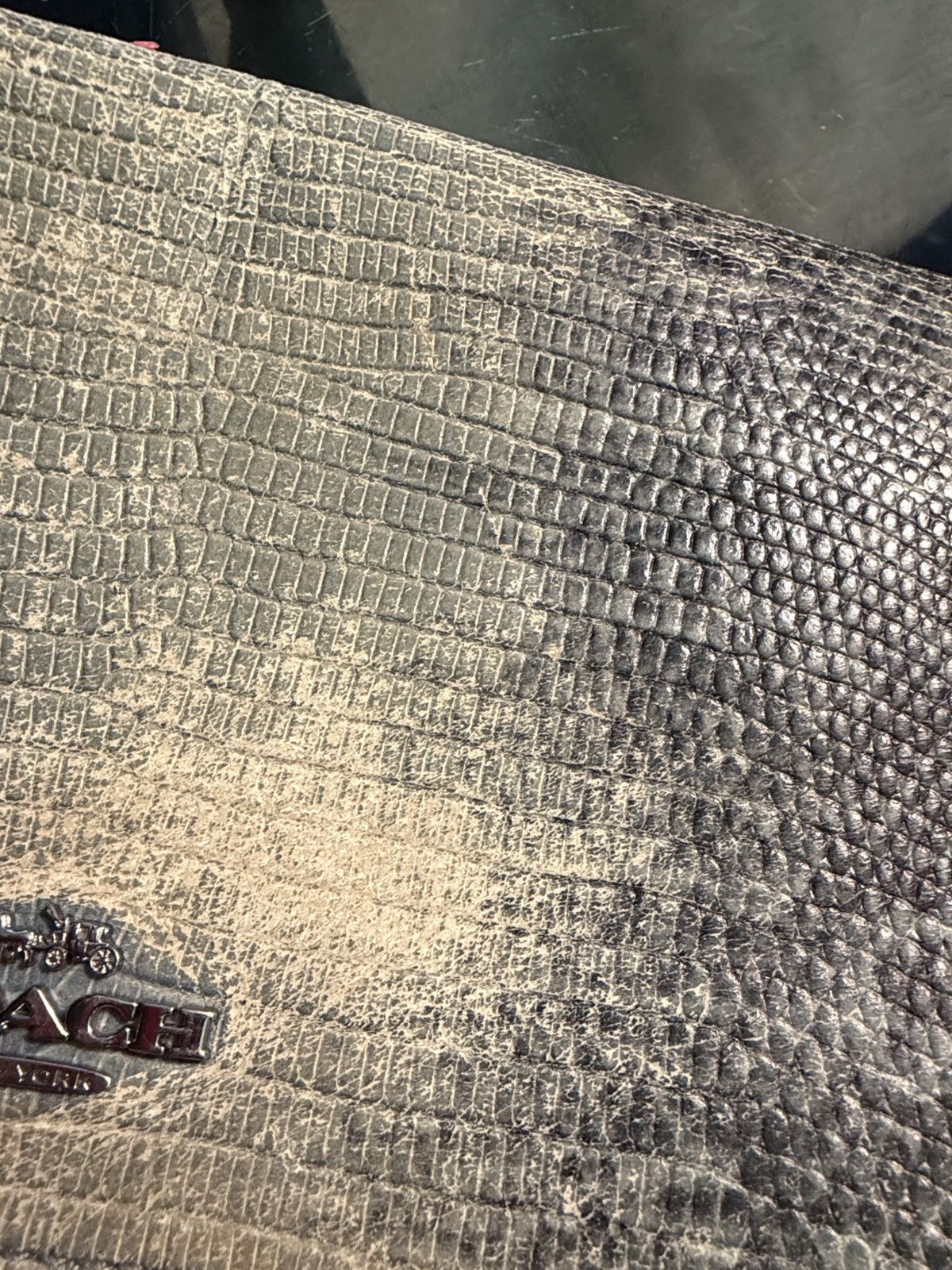 Coach Coach Hayden snakeskin lizard embossed leather crossbody bag Size ONE SIZE - 10 Thumbnail
