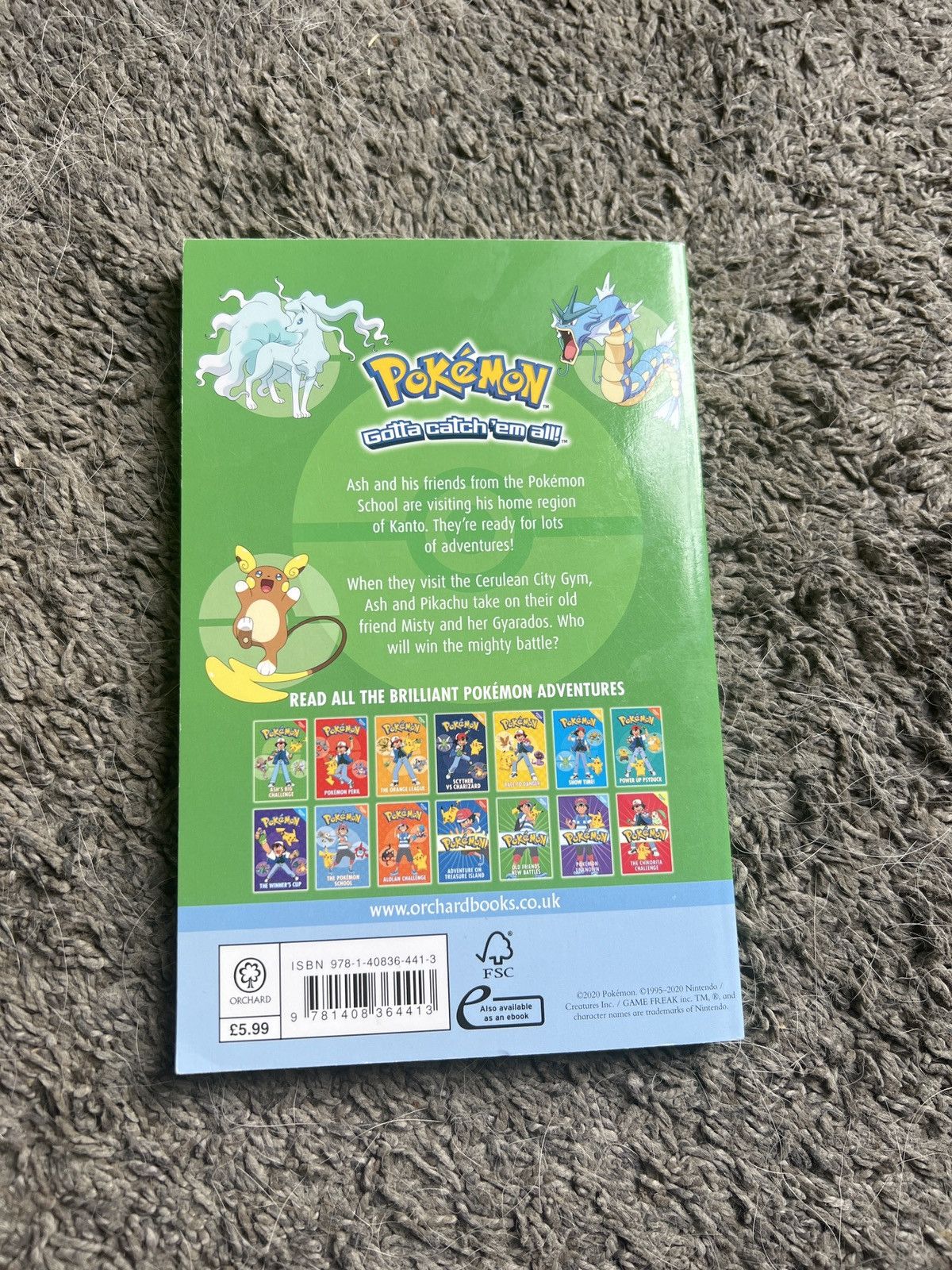 Pokemon Pokémon Old Friends, New Battles Size ONE SIZE - 2 Thumbnail