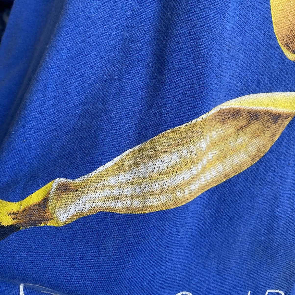 Band Tees Vintage Chris Tea Banana Tour 1993 single stitch band tee Size US XL / EU 56 / 4 - 5 Thumbnail