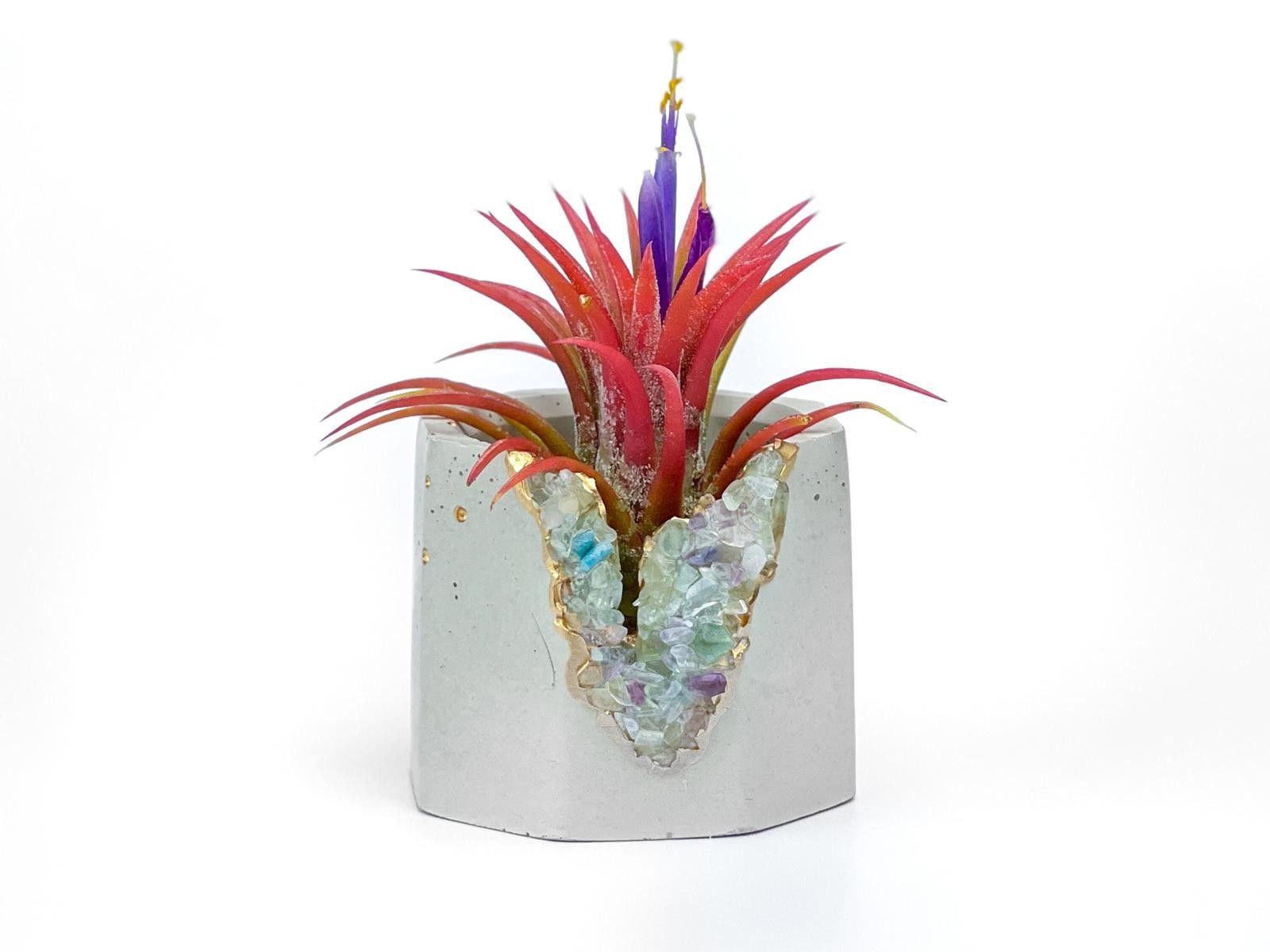 Other Succulent Pot Fluorite Crystal Planter Geode Air Plant holde Size ONE SIZE - 2 Thumbnail