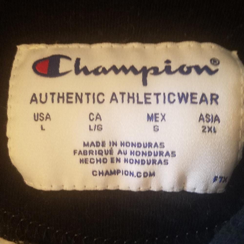 Champion Champion Hooded Sweatshirt Size Large Size US L / EU 52-54 / 3 - 3 Thumbnail