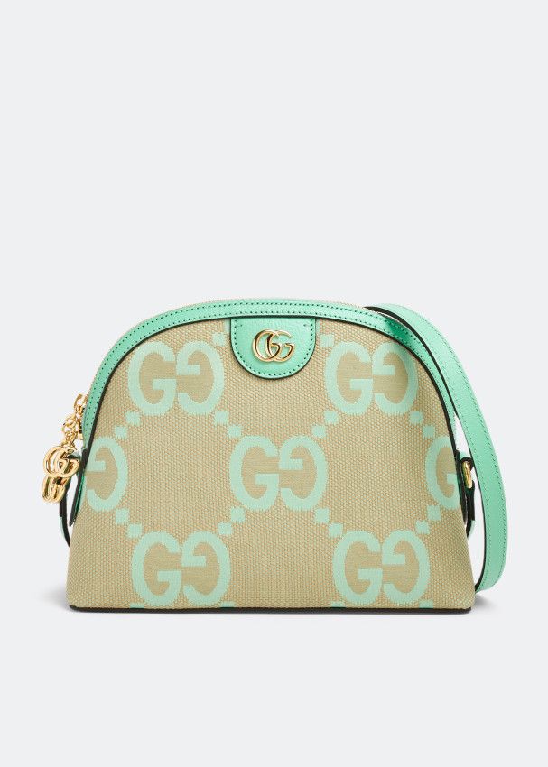Gucci o1s1wg110125 Size: OS / Shoulder Bag in Beige/Mint Green Size ONE SIZE - 1 Thumbnail