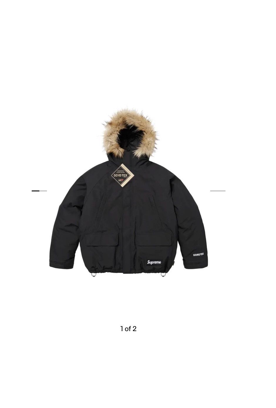 Supreme 2-In-1 GORE-TEX Parka + Reversible 700-Fill Down'
