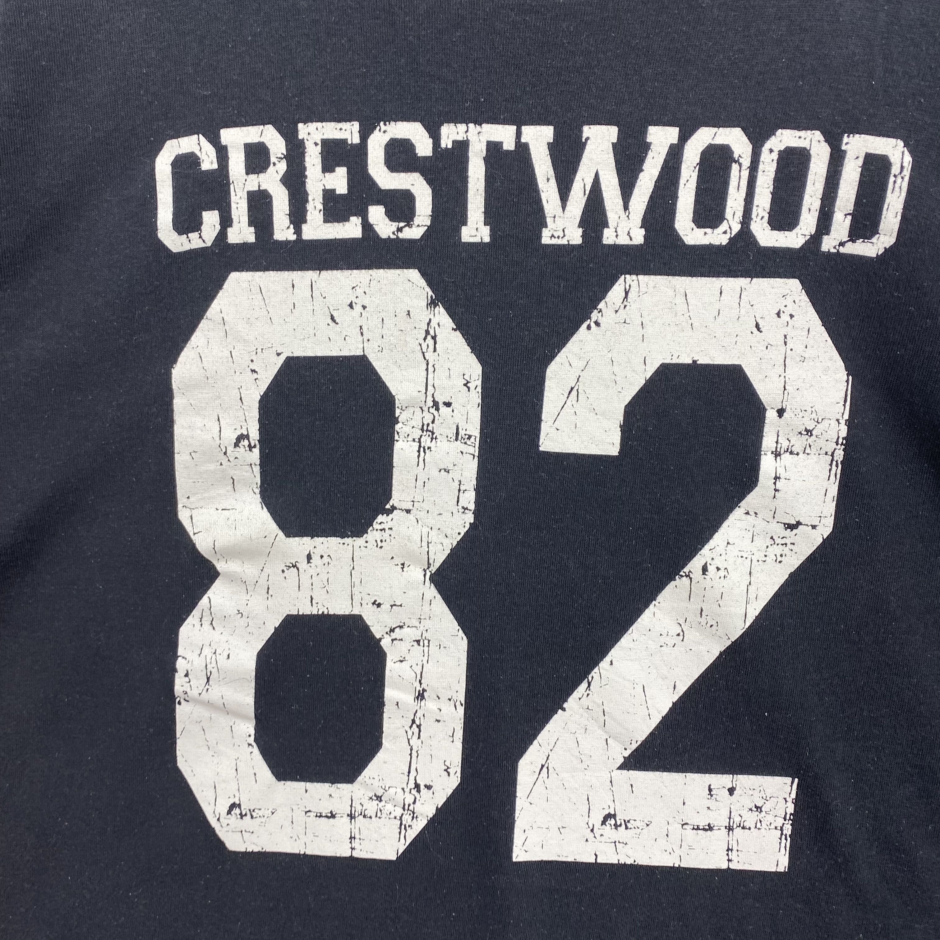 Champion Vintage Y2K Champion Tshirts Champion Crestwood Crewneck Tee Size US M / EU 48-50 / 2 - 2 Thumbnail