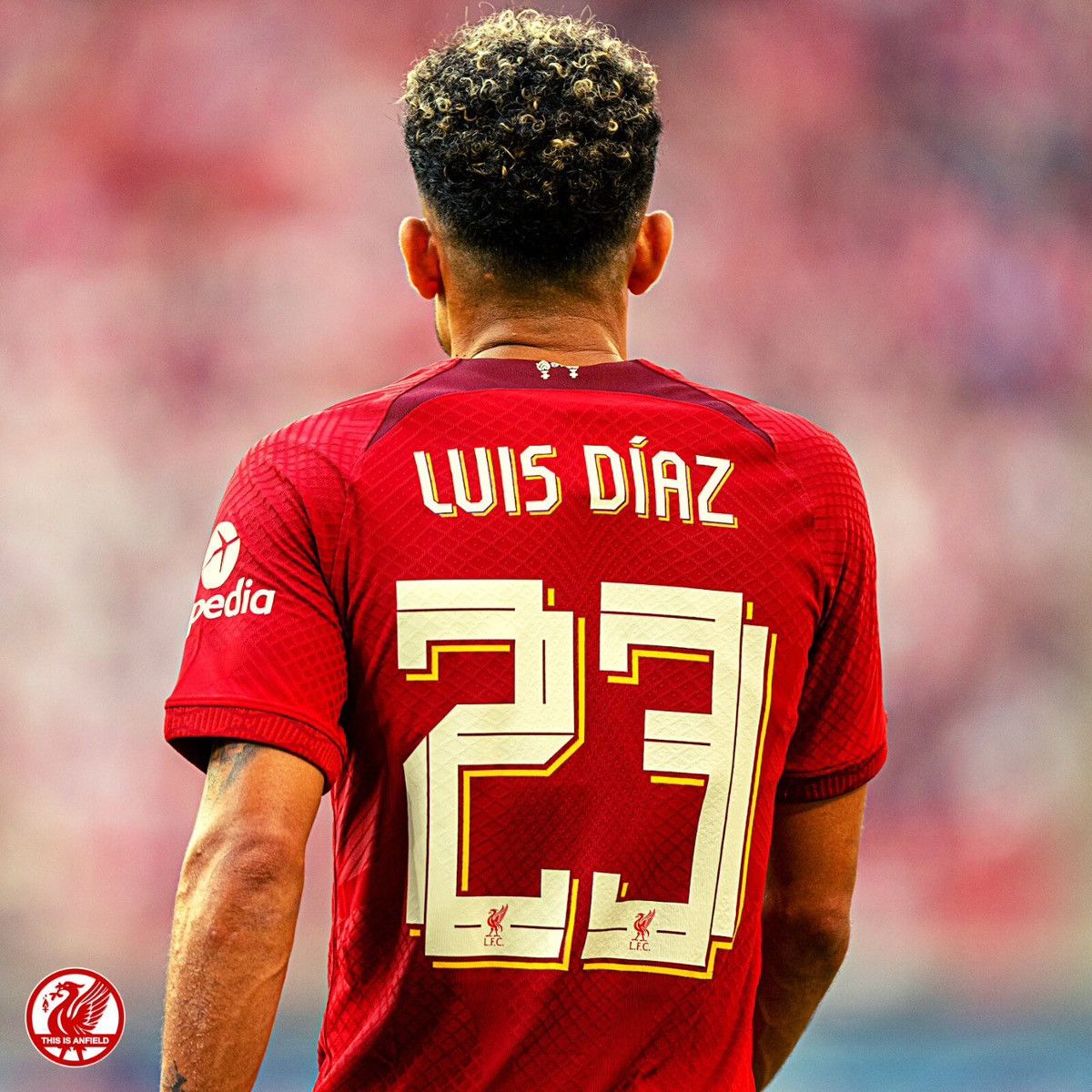 Nike Luis Diaz #23 Liverpool 2022-2023 Home Soccer Jersey Kit Size US XXL / EU 58 / 5 - 2 Thumbnail