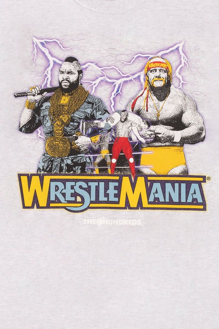 The Hundreds × WWF The Hundreds Hulk Hogan Vs Mr. T Tee Grey Sz. Small Size US S / EU 44-46 / 1 - 3 Thumbnail