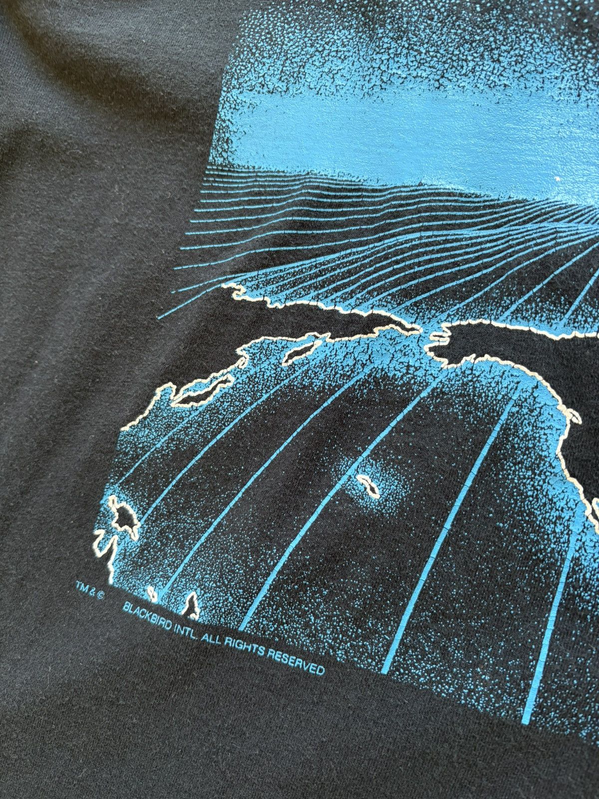 Blackbird Blackbird Vintage 90s B2 Bomber Double-sided Military Tee L Size US L / EU 52-54 / 3 - 9 Thumbnail