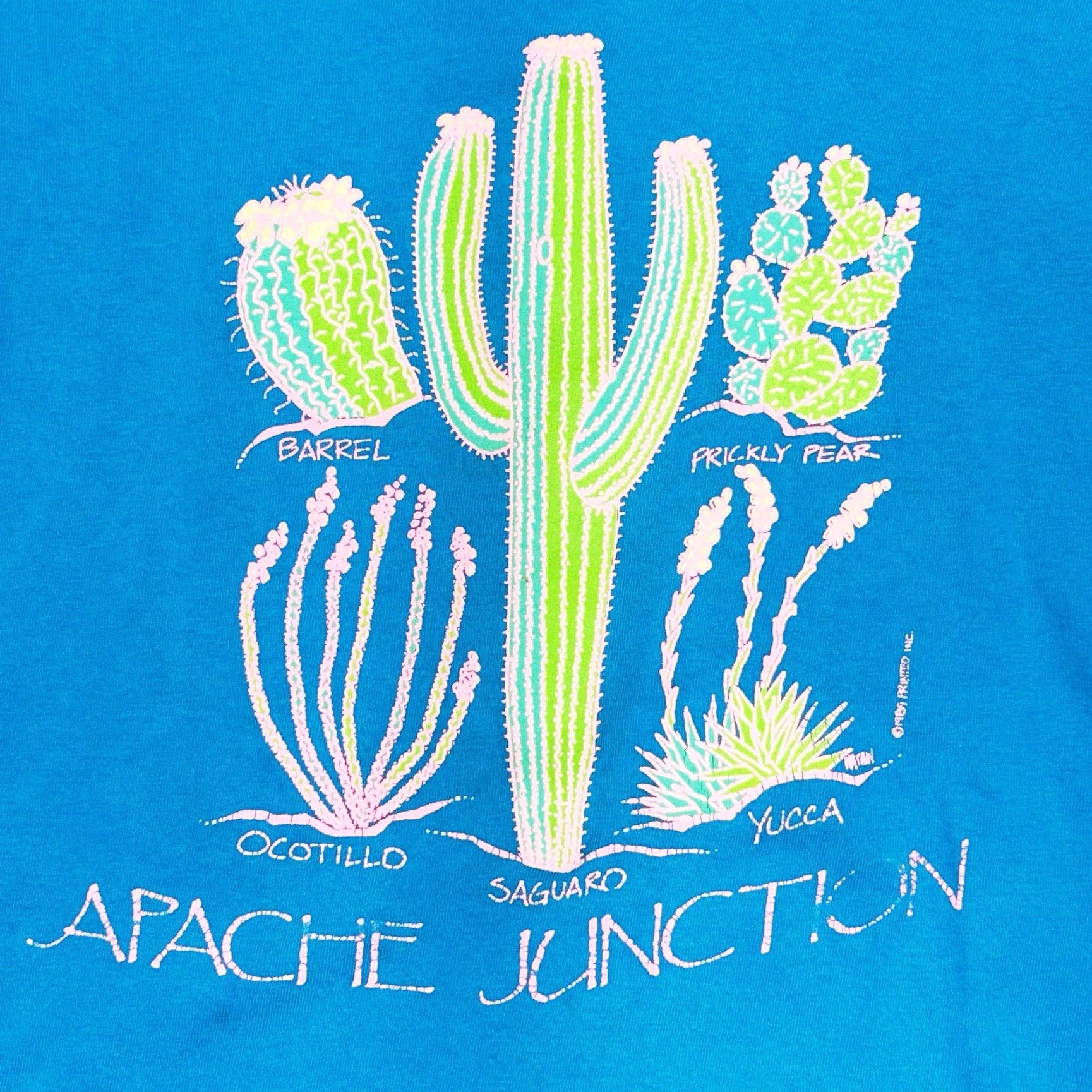 Altea VINTAGE Teal Apache Junction Cactus Single stitch T Shirt Mens Large blue 80s 90s Southwest USA Stedman Cotton Short Sleeve High Neck Shirt Size US L / EU 52-54 / 3 - 2 Thumbnail