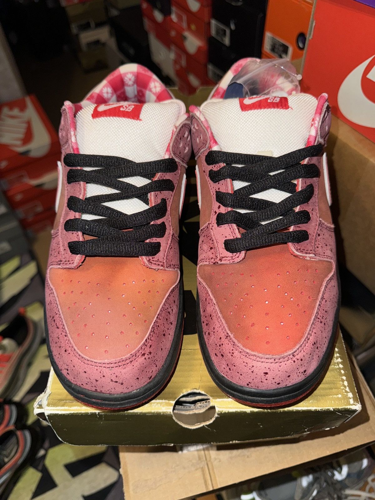 CNCPTS × Nike Nike dunk low premium SB “RED LOBSTERS” Size US 9.5 / EU 42-43 - 8 Thumbnail