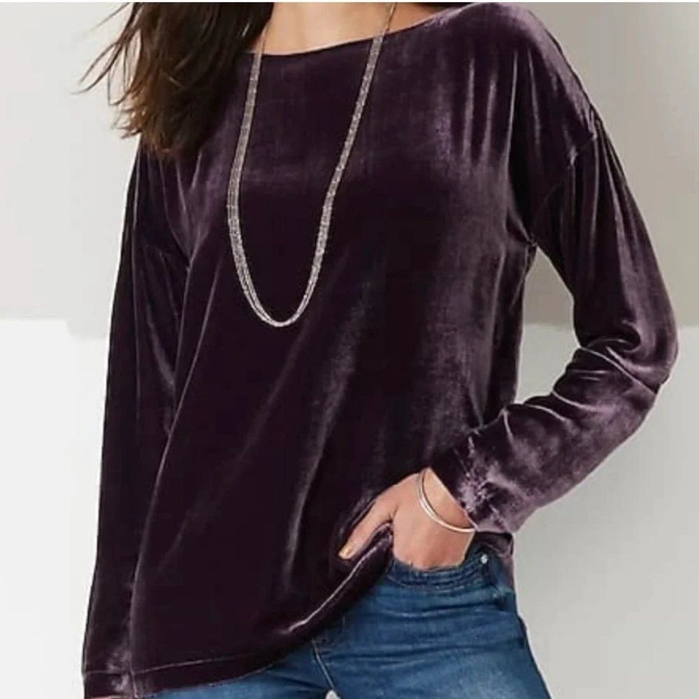 J. Jill NWT New $199 J. Jill Rayon Silk Velvet Long Sleeve Dark Fig Size M / US 6-8 / IT 42-44 - 1 Thumbnail