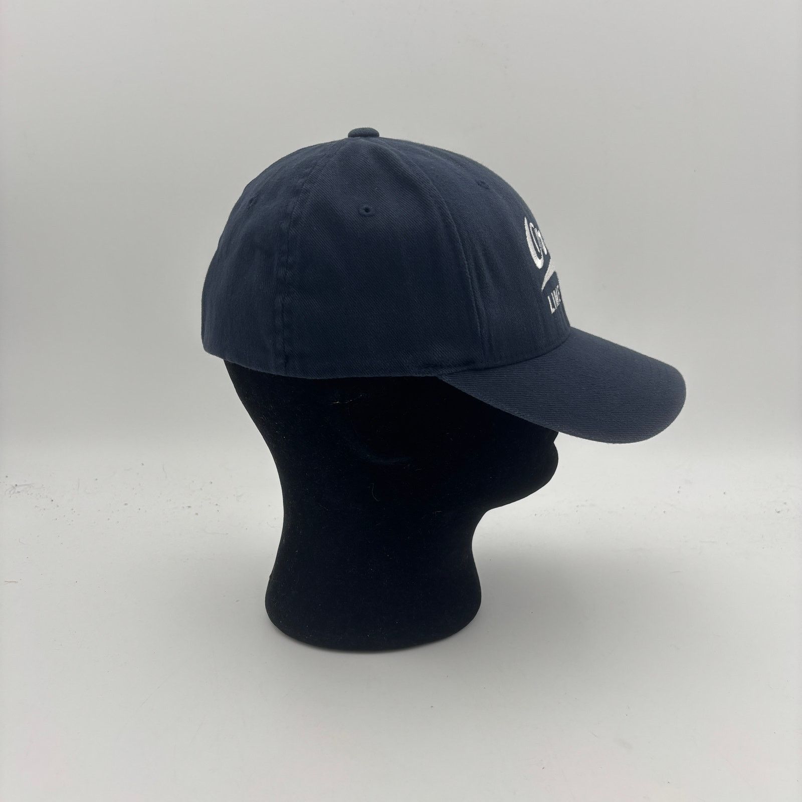 Warner Bros × Yupong The Middle Orson Limestone Exclusive Promo WB TV FlexFit Hat Size ONE SIZE - 3 Thumbnail
