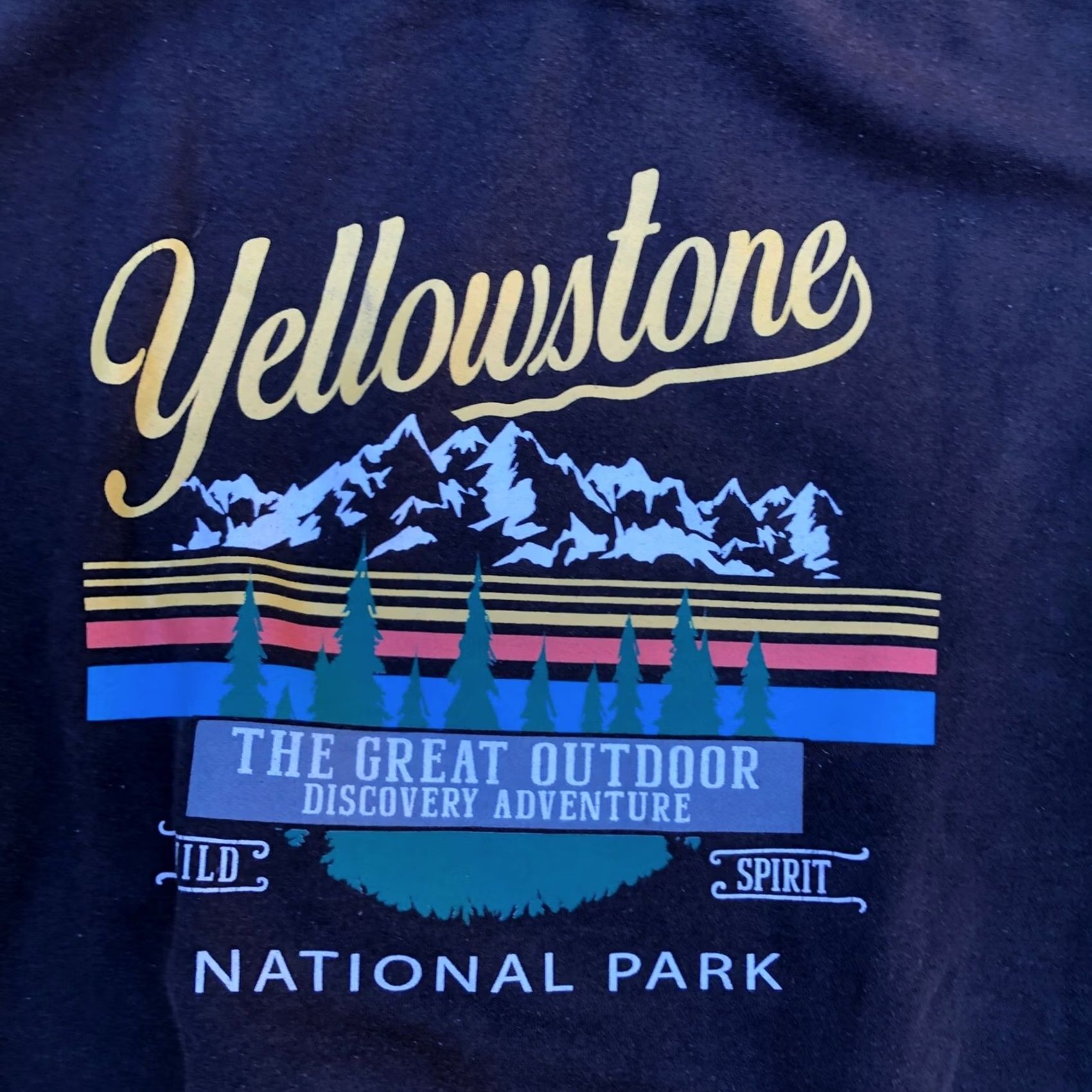 CO PACIFIC & CO Yellowstone National Park Pullover Hoodie Sweatshirt Men's LG Black Size US L / EU 52-54 / 3 - 3 Thumbnail