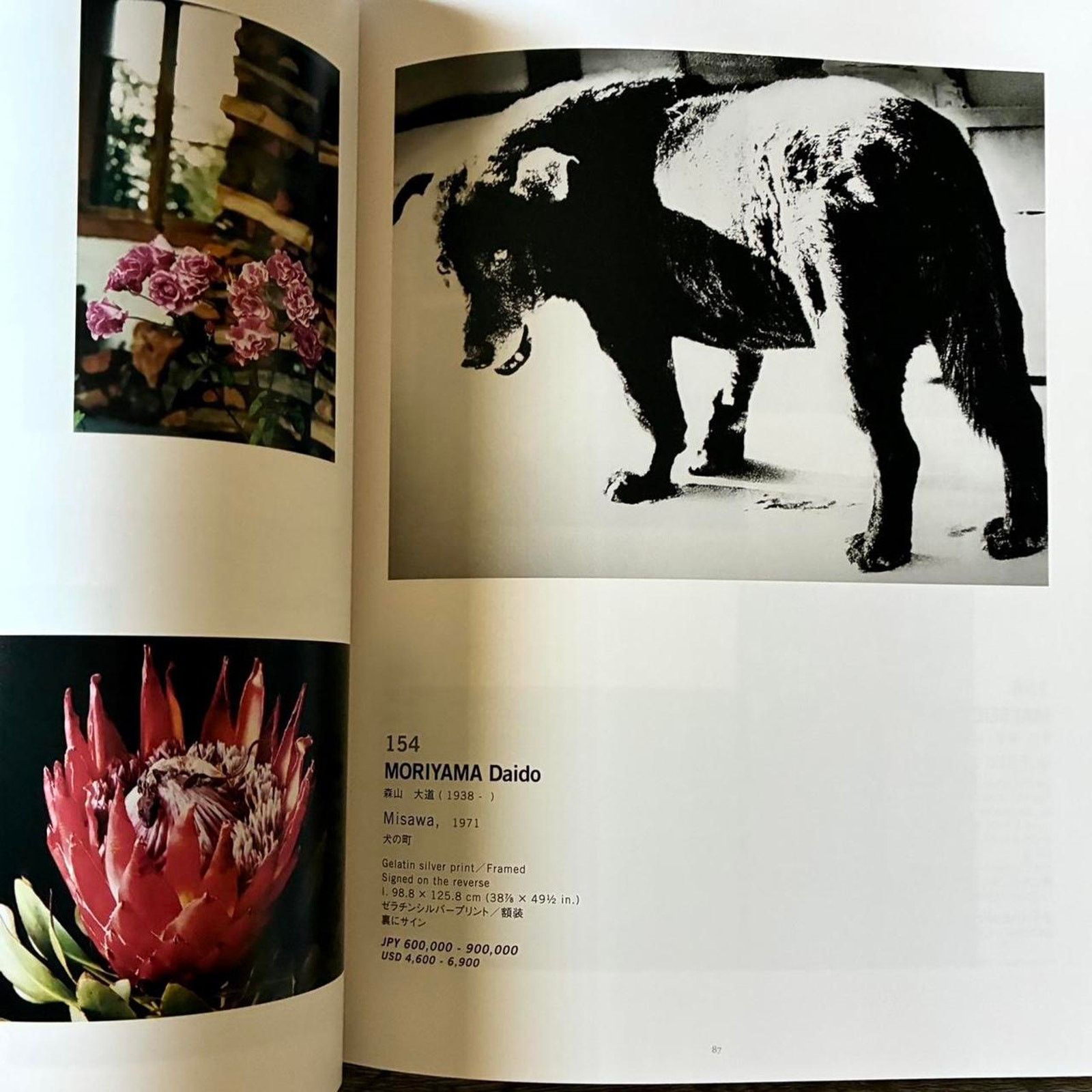 Andy Warhol × Japanese Brand × Kaws KAWS Andy WARHOL MR DOODLE & more SBI ART AUCTION ART Book Size ONE SIZE - 5 Thumbnail