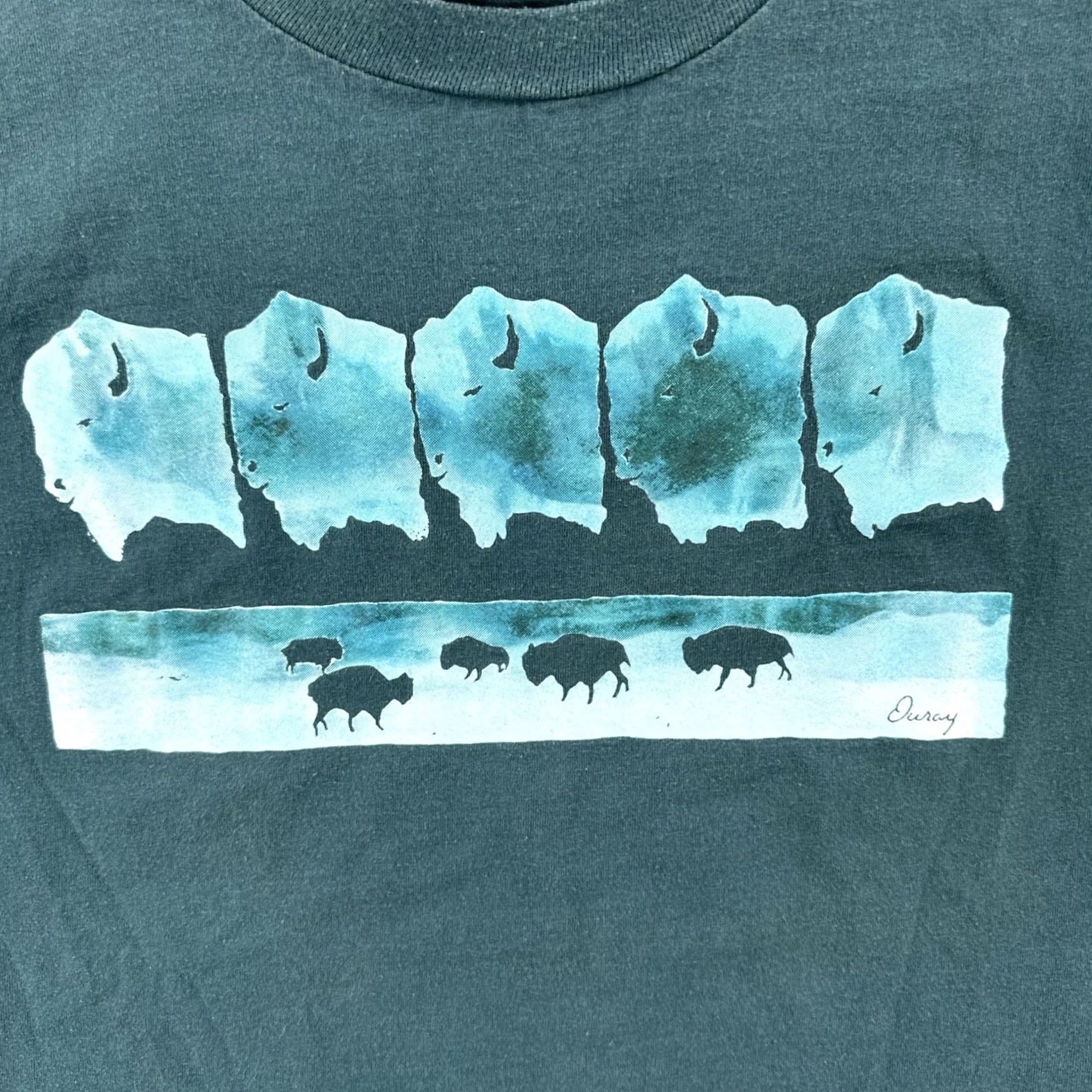 Jerzees VINTAGE Jerzees T-Shirt Mens XL Green Crew Neck Short Sleeve Bison Graphic Print USA 90s Ouray Co Size US XL / EU 56 / 4 - 6 Thumbnail