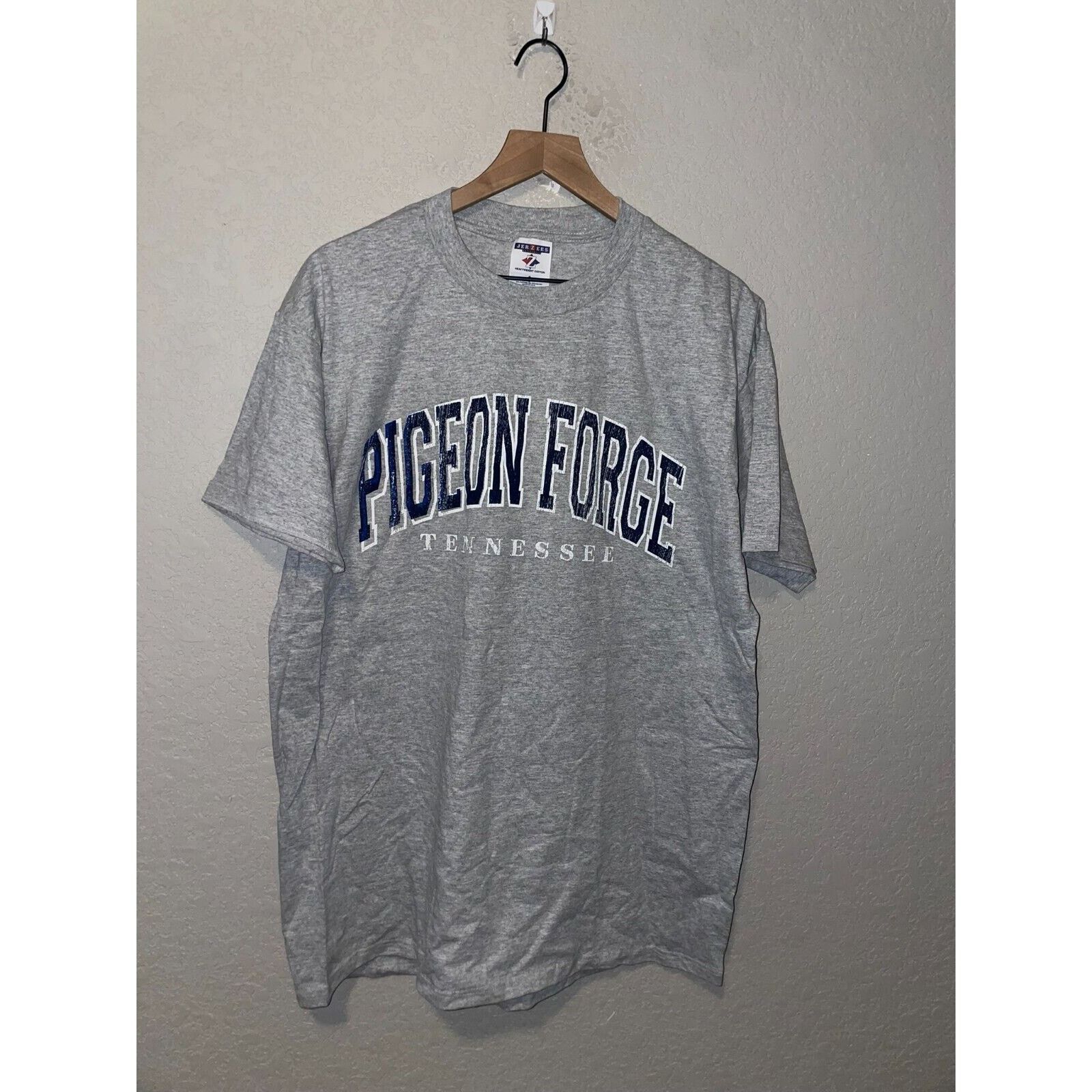 Jerzees Vintage Pigeon Forge Shirt TN Tennessee Gray Tee VTG 90s L Size US L / EU 52-54 / 3 - 1 Thumbnail