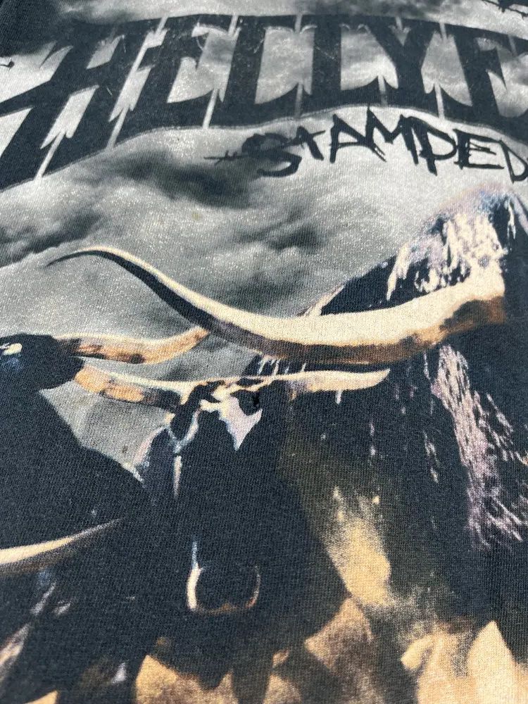 Band Tees Vintage y2k HELLYEAH stamdede tour 2010 Band Rock Tee Size US M / EU 48-50 / 2 - 9 Thumbnail