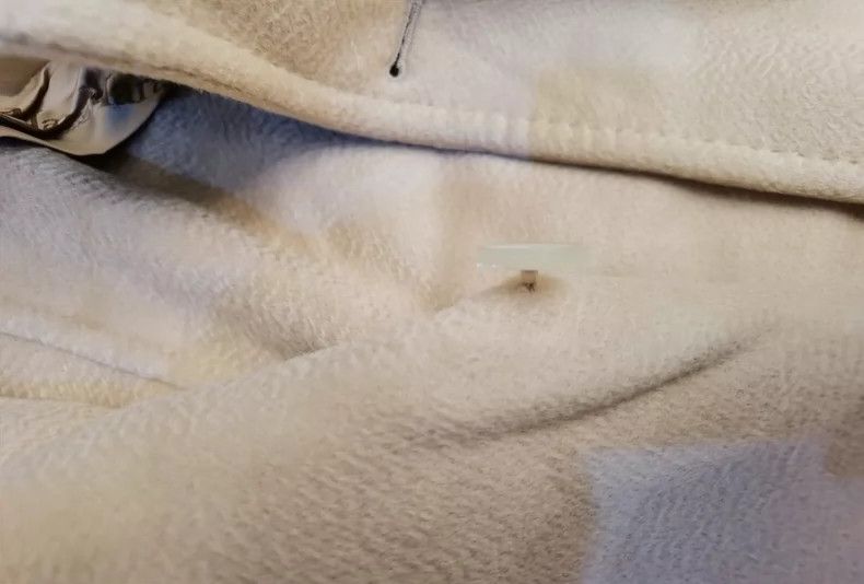 Max Mara Max Mara Classic Hand-Made Camel Reversible Water-Ripple C Size L / US 10 / IT 46 - 6 Thumbnail