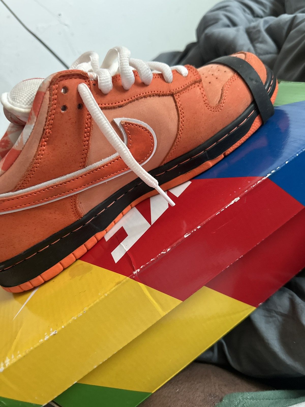 Nike SB Nike sb dunks Orange lobsters Size US 11 / EU 44 - 2 Thumbnail