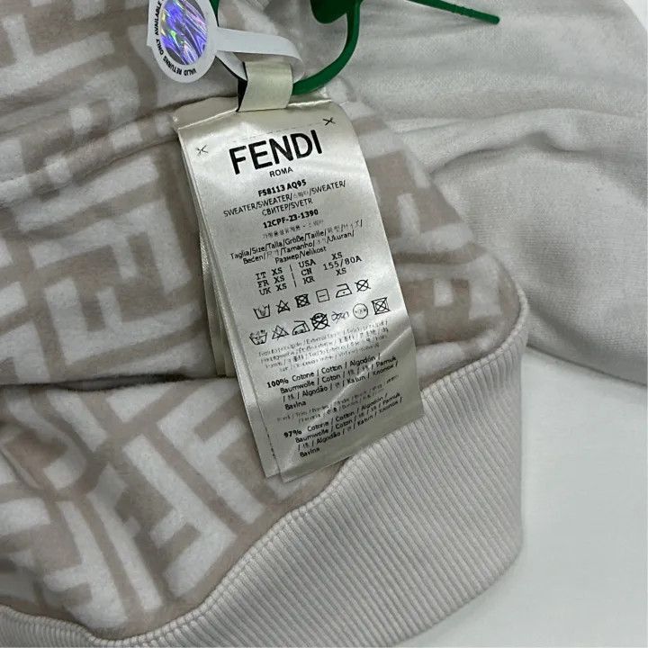Fendi Fendi SS23 Logo Print Hooded Sweatshirt -2508 Size XS / US 0-2 / IT 36-38 - 4 Thumbnail