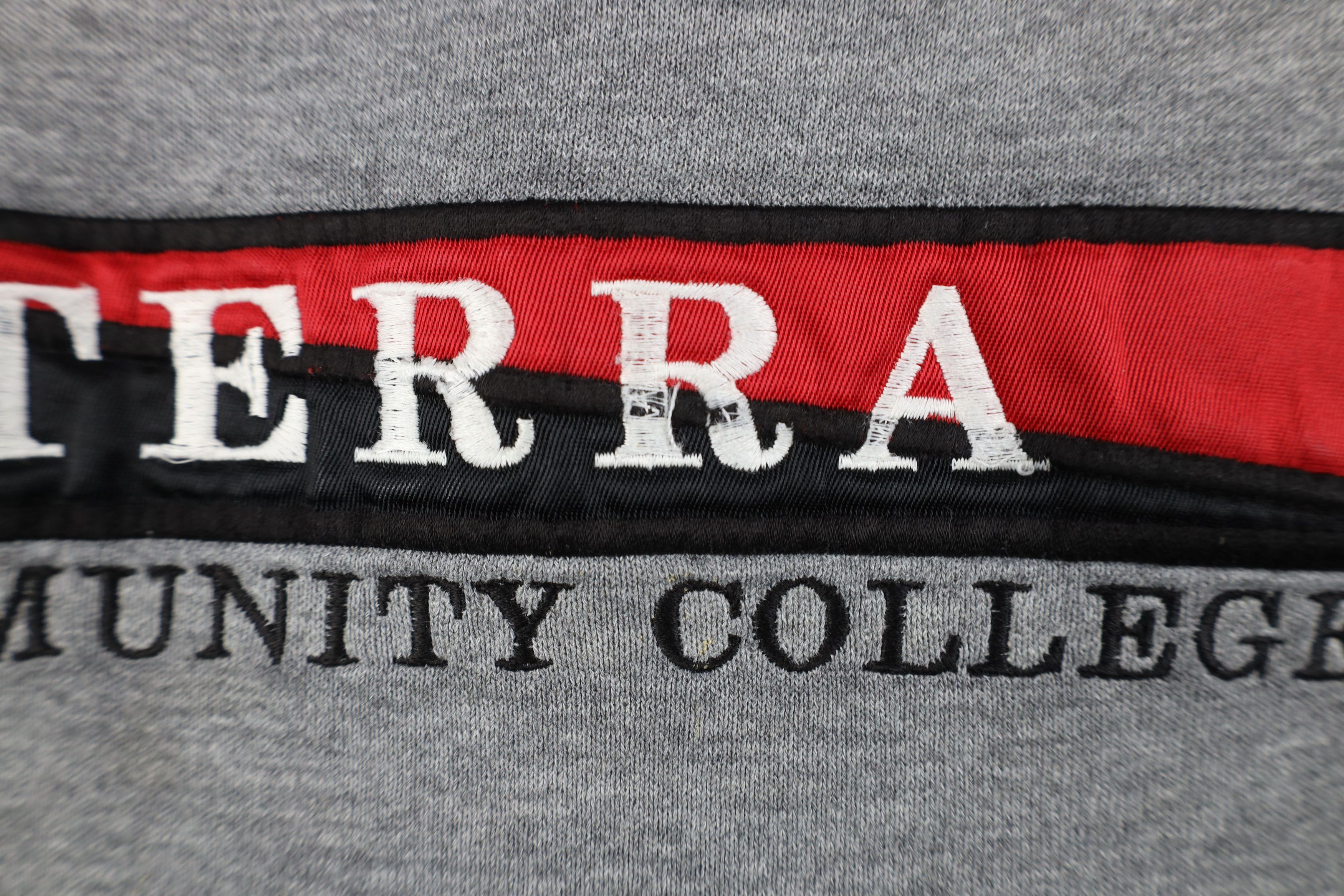 Vintage Vintage 90s Terra Community College Sweatshirt Gray USA Size US M / EU 48-50 / 2 - 5 Thumbnail