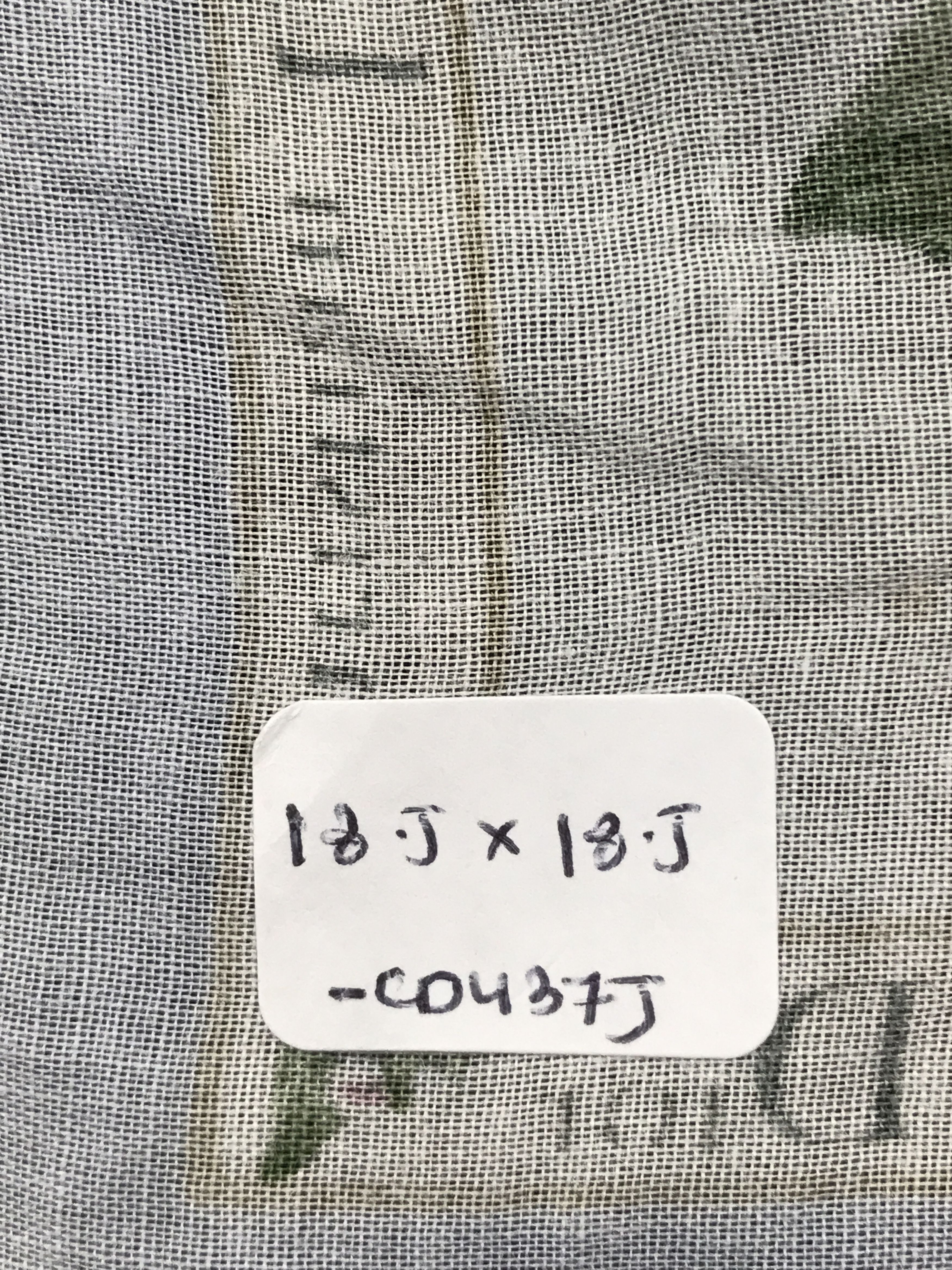 Christian Dior Monsieur × Vintage Vintage Christian Dior Bandana Neckerchief Handkerchief Size ONE SIZE - 5 Thumbnail